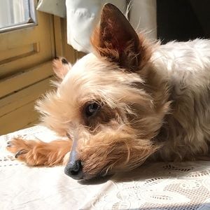 Meet your Posher, Kristie